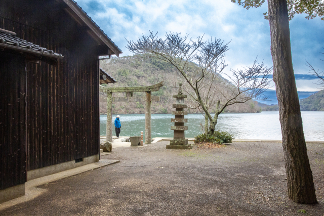 引用：写真
