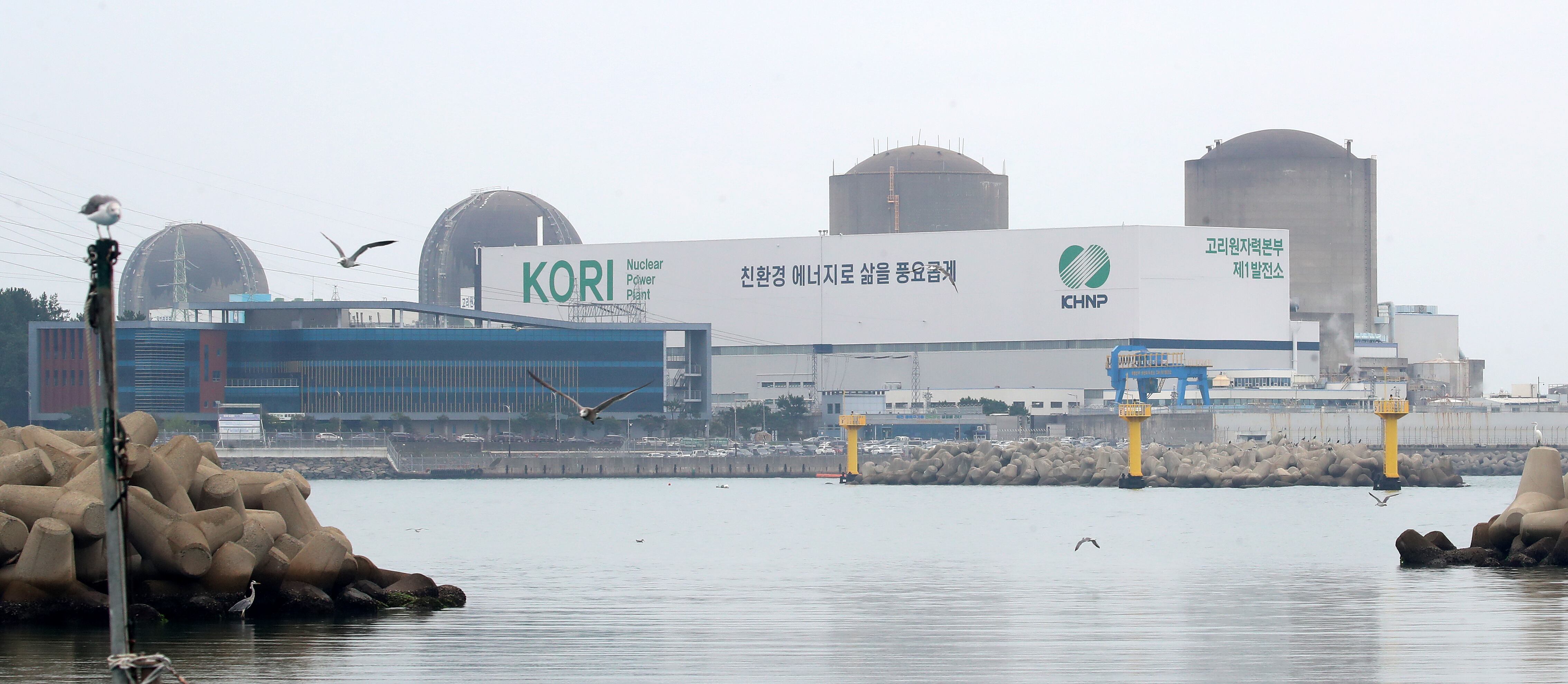 사진은 부산 기장군 장안읍 고리 2호기(오른쪽 두 번째) 모습./뉴스1