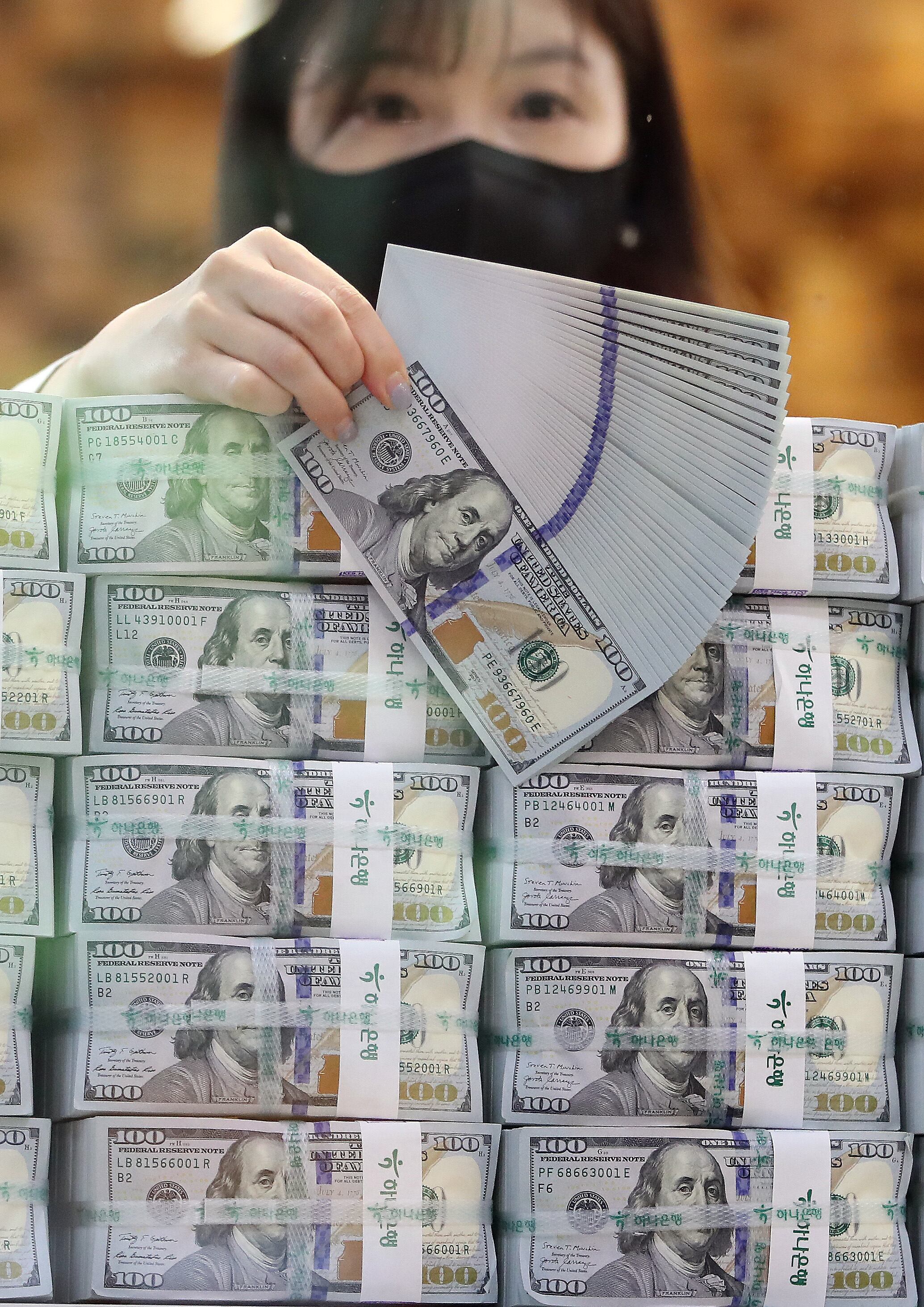 서울 중구 하나은행 위변조대응센터에서 직원이 달러를 정리하고 있다. /뉴스1