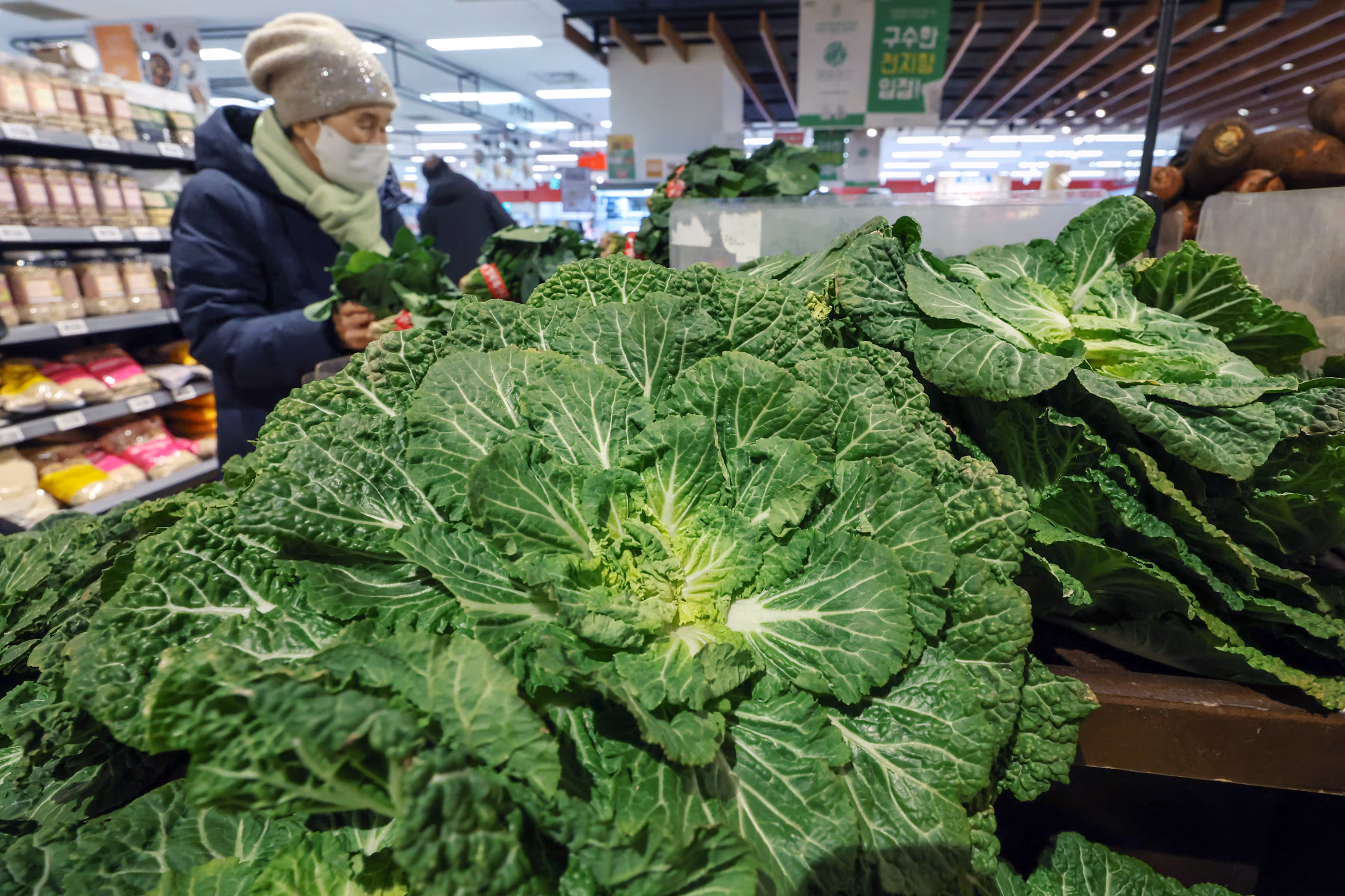 서울의 한 대형마트에서 판매 중인 봄동. /뉴스1