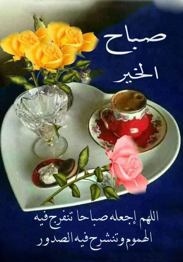 24b0d121e09c28a8699fe8b115ef046544acf43ff7