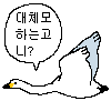 대하니