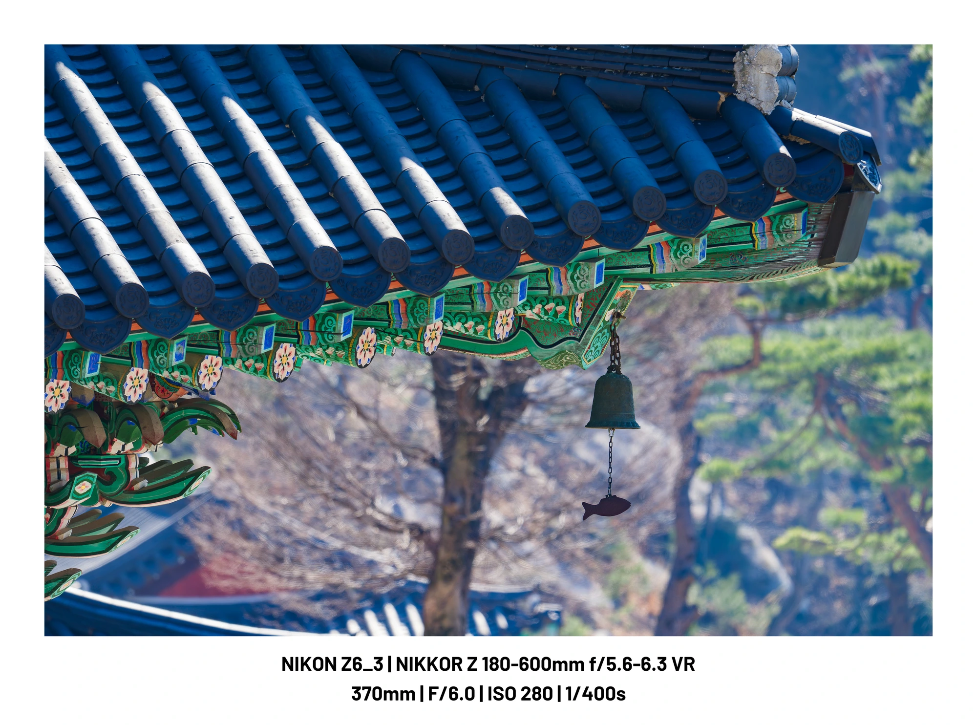 098ef319b28b6cfe20a8d3b706f11a395b0ffbc7c41eefbec6