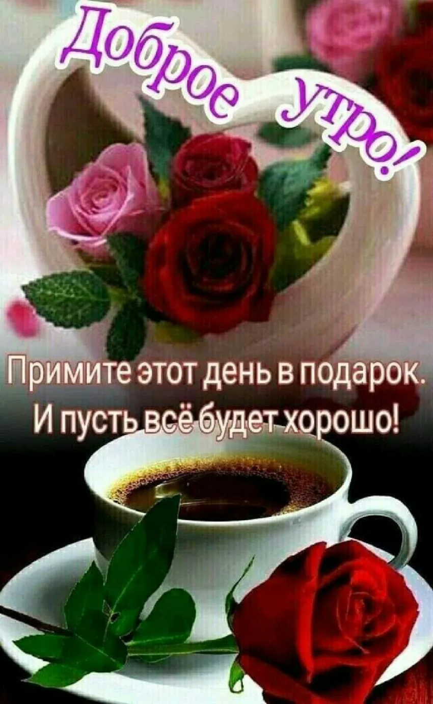 24b0d121e09c28a8699fe8b115ef046f5e4e9a9faec4