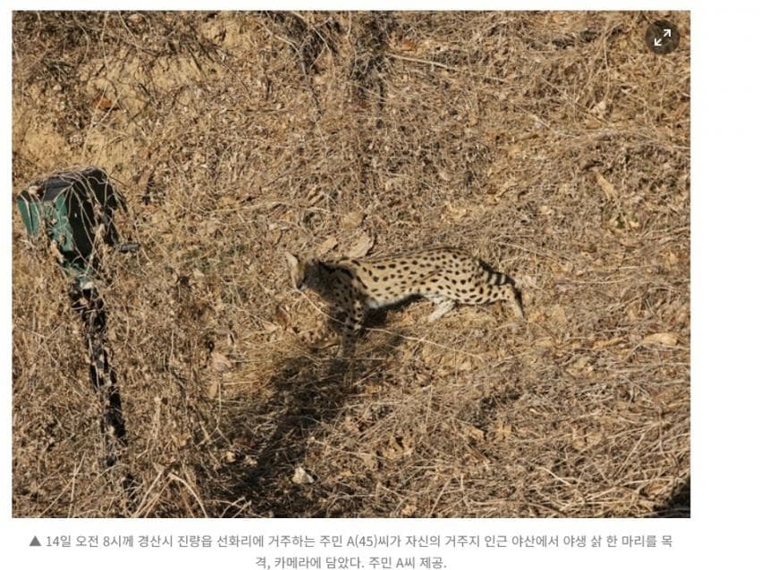 1ebec223e0dc2bae61ab96e746837270dab0393101a2782dea572370059591f133d93838da56b47a679ecc54