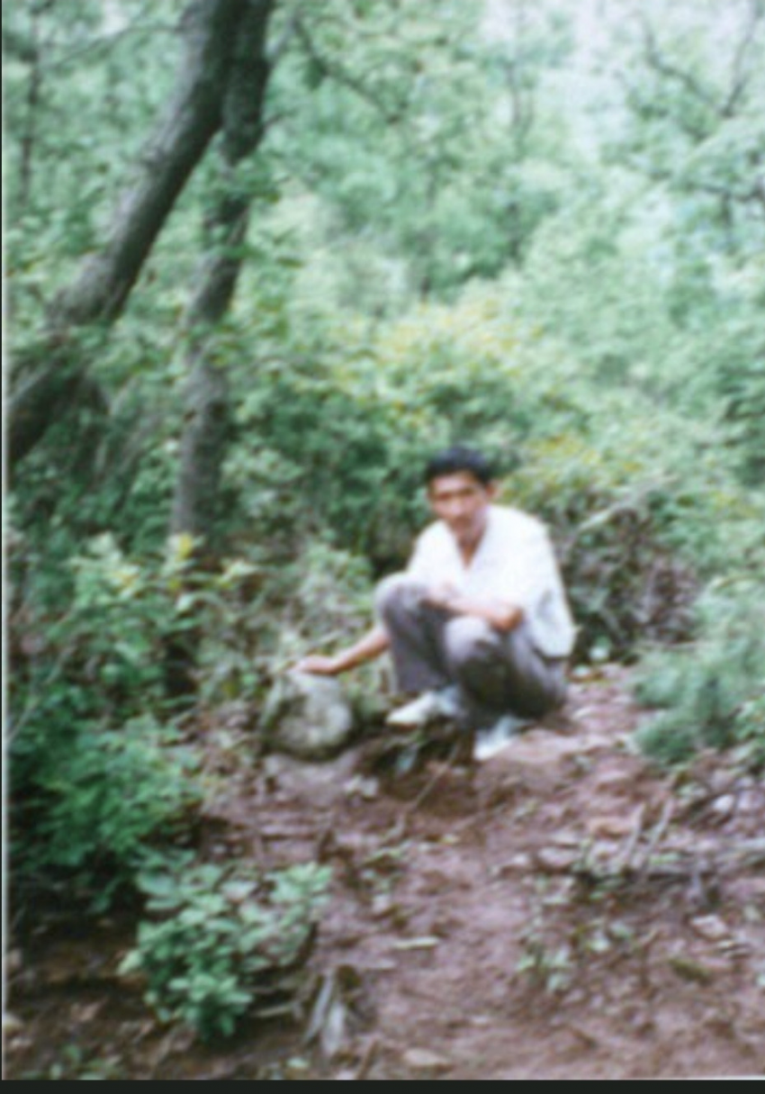 24b0d121e09c28a8699fe8b115ef046c66f5214c9ee8