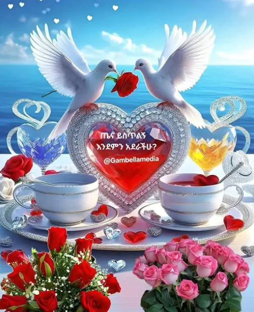 24b0d121e09c28a8699fe8b115ef0468eaade2bb60