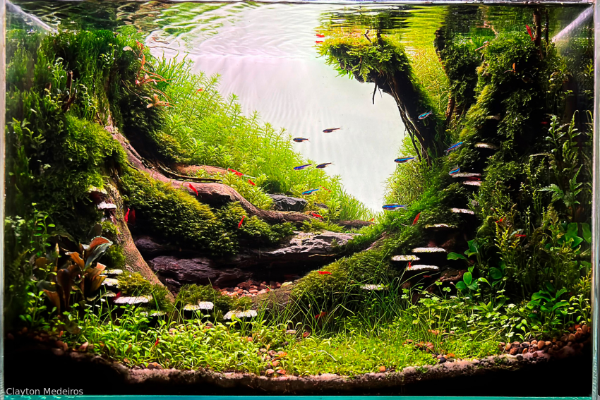 24b0d121e09c28a8699fe8b115ef0468e5a2ebbe6b0d