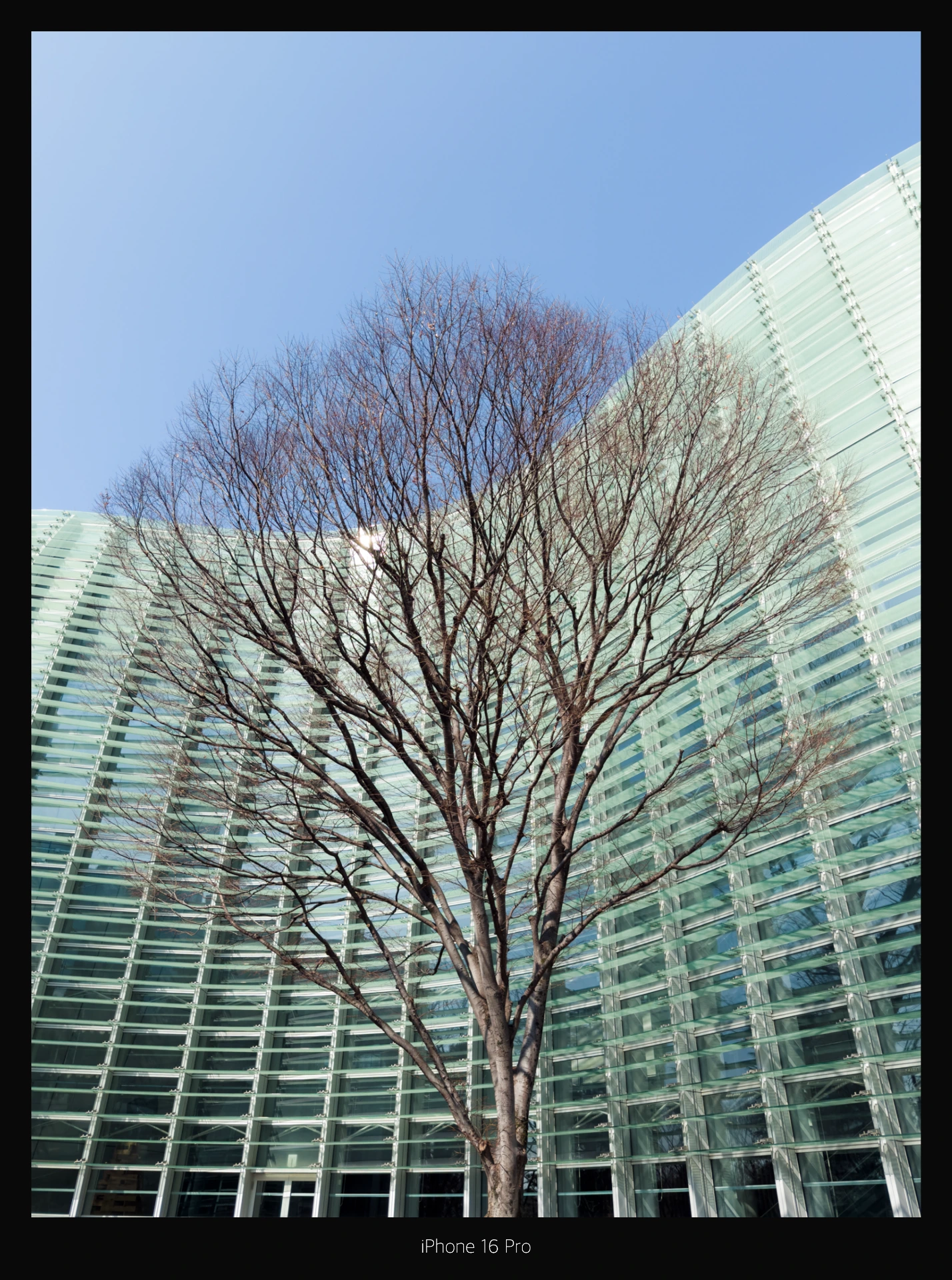 0490f719b48a61ff20a8d3b706f11a39d13de8f5c81580cce8