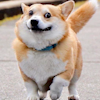 킄