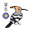 갤주