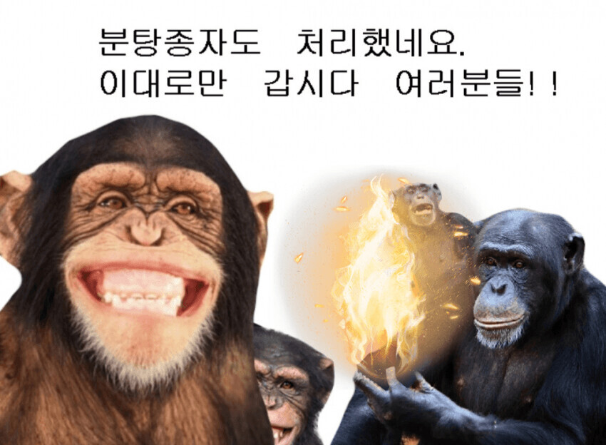 24b0d121e09c28a8699fe8b115ef046b6e6b93372b