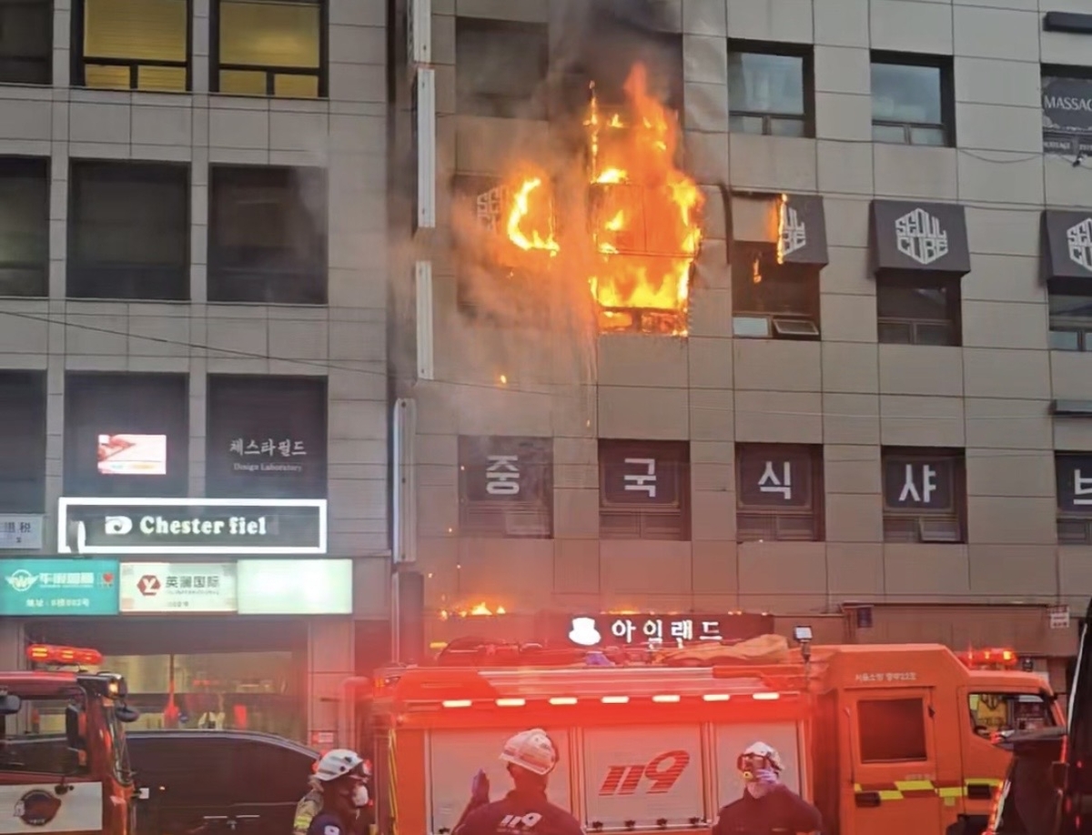Seoul’s Swift Action: 295 Firefighters and 48 Units Tackle Guesthouse Blaze
