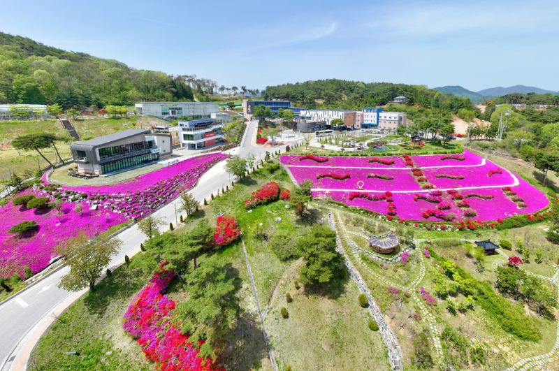 2026 Best Wellness Tourism Destination: Why Shilland in Sunchang is a Must-Visit for Health Enthusiasts