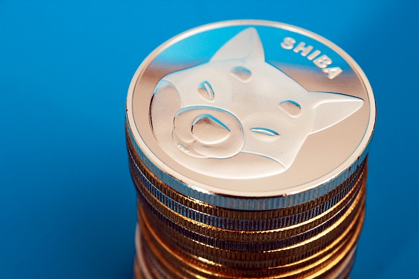 시바이누(SHIB) 코인 [사진: 셔터스톡]