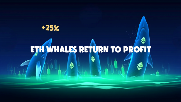 이더리움 고래 지표가 강세 신호로 작용하면서 투자자들의 기대감이 커지고 있다 [사진: Reve AI]