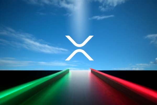 XRP는 여전히 논쟁적인 자산이지만, 기관 투자자들의 관심이 커지는 점은 주목할 만하다. [사진: Reve AI]