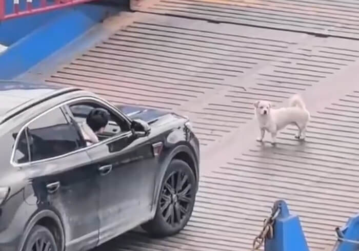 애니멀플래닛