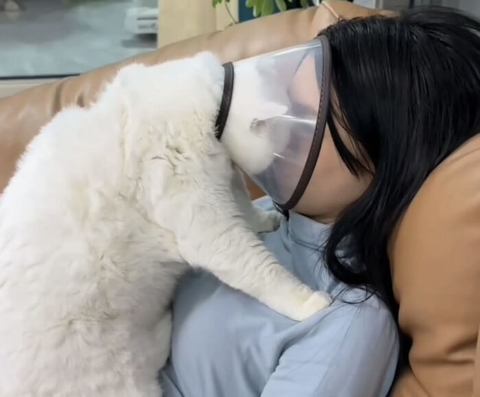 애니멀플래닛
