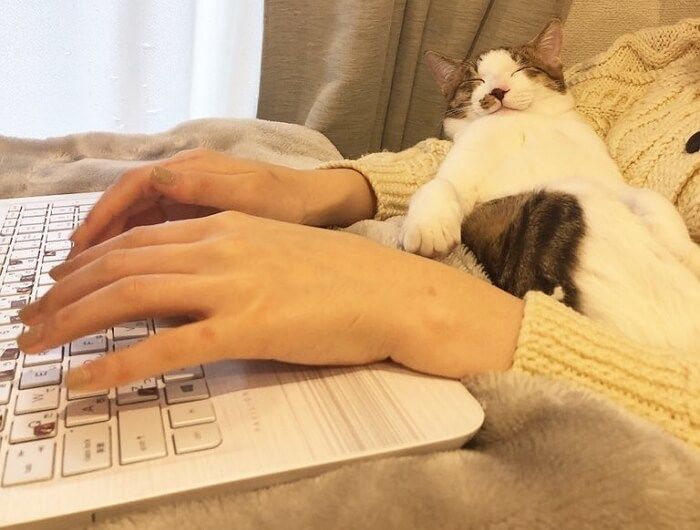애니멀플래닛