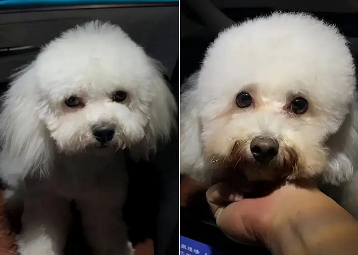 애니멀플래닛