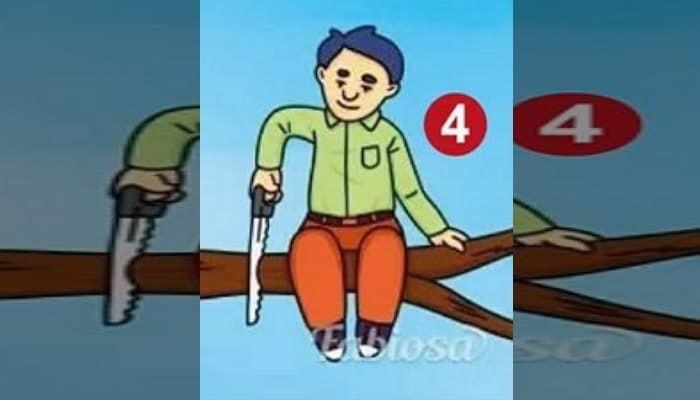 애니멀플래닛