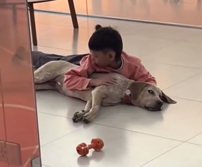 애니멀플래닛