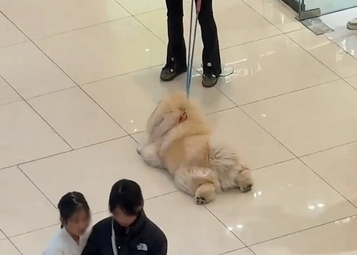 애니멀플래닛