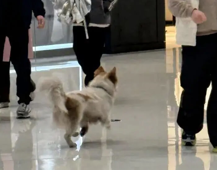 애니멀플래닛