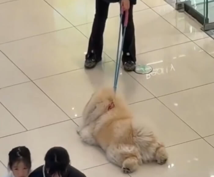 애니멀플래닛