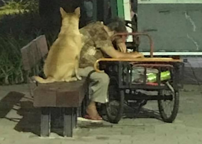 애니멀플래닛