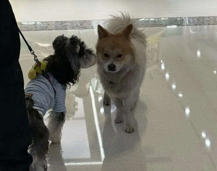 애니멀플래닛