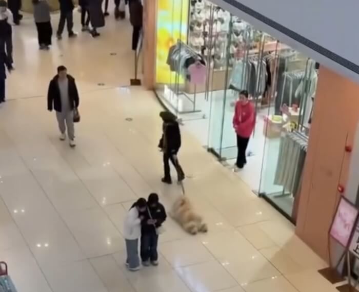 애니멀플래닛