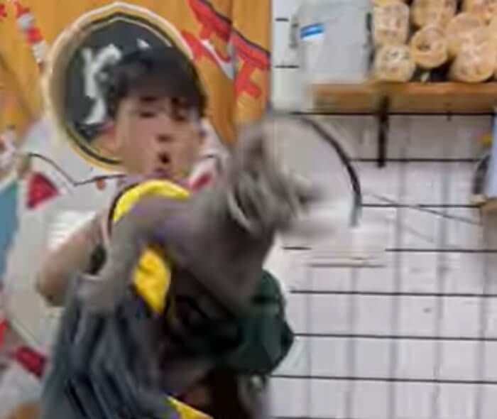 애니멀플래닛