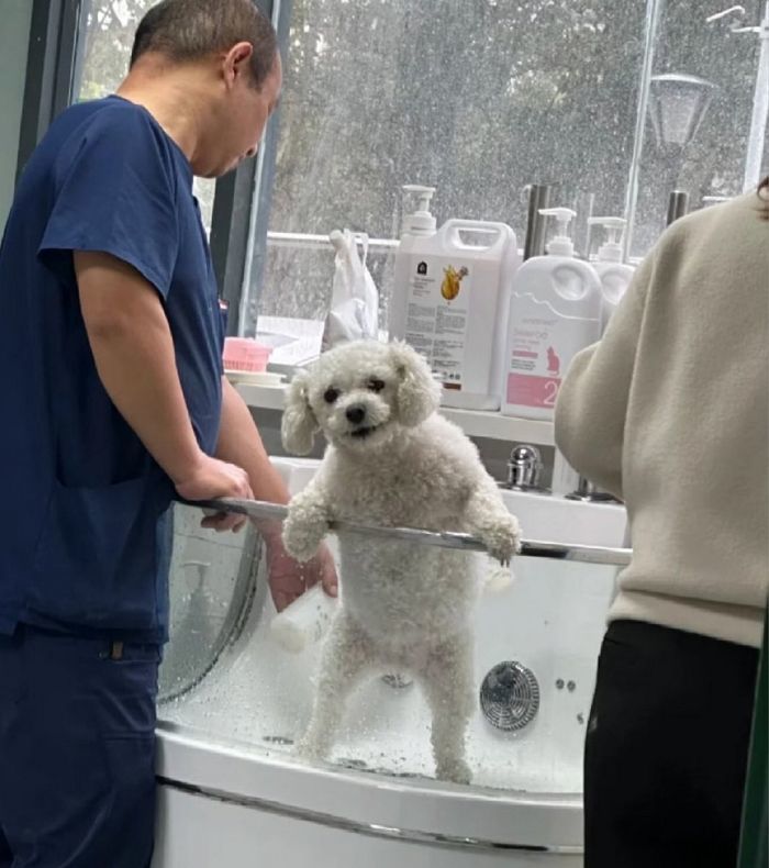애니멀플래닛