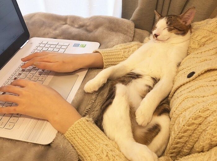 애니멀플래닛