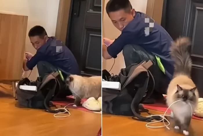 애니멀플래닛
