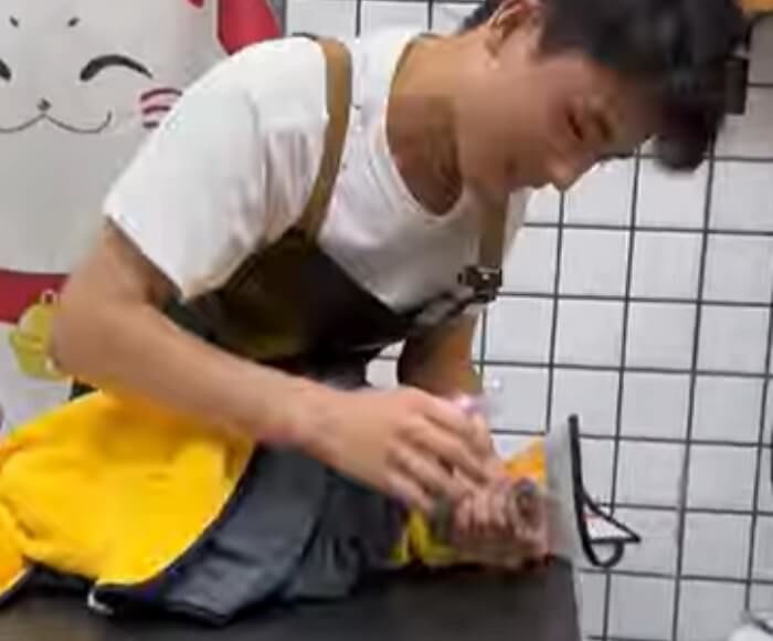 애니멀플래닛