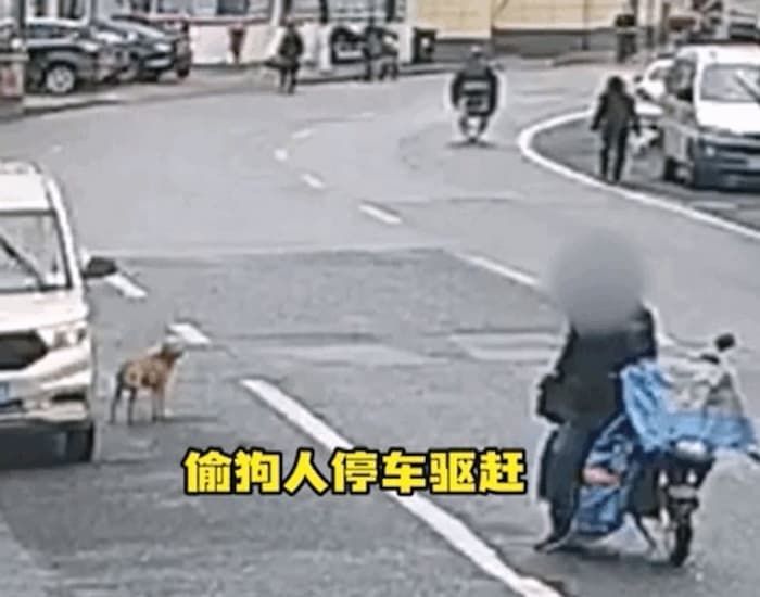 애니멀플래닛