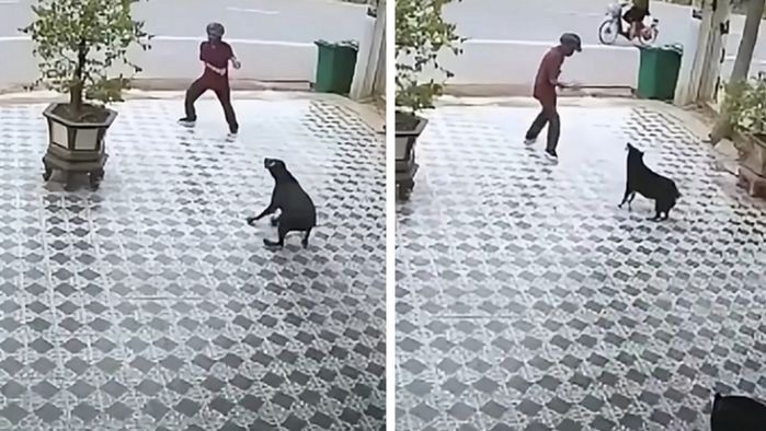 애니멀플래닛