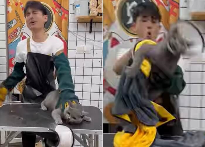애니멀플래닛