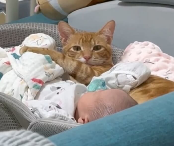 애니멀플래닛