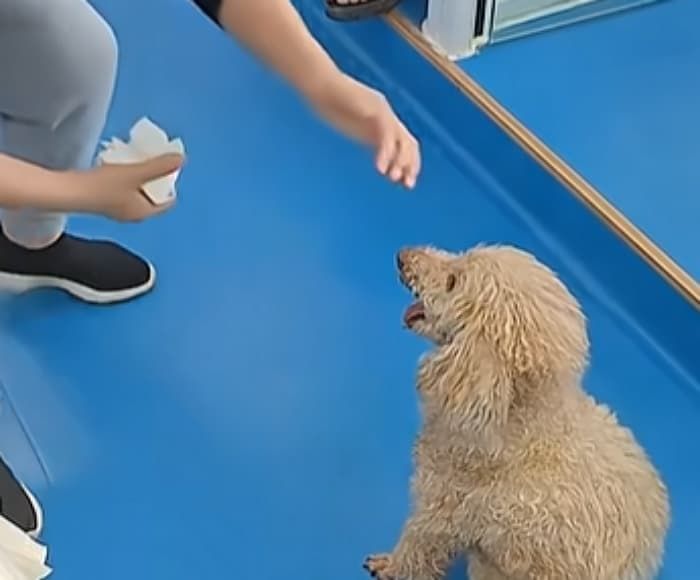 애니멀플래닛