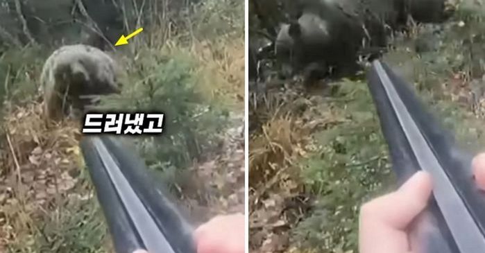 애니멀플래닛