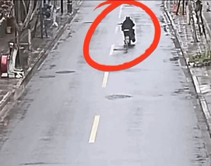 애니멀플래닛