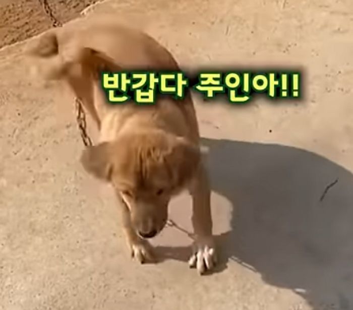 애니멀플래닛