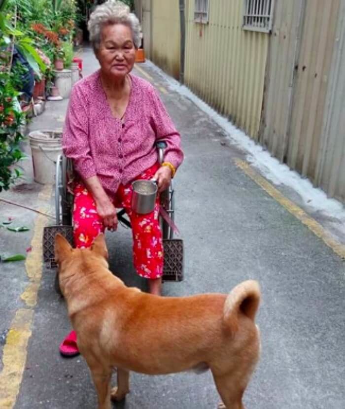 애니멀플래닛