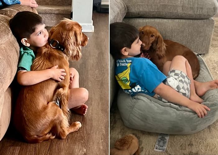 애니멀플래닛