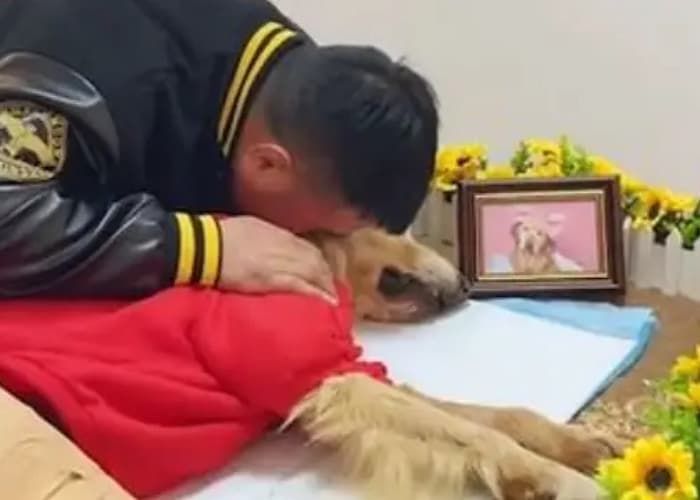 애니멀플래닛