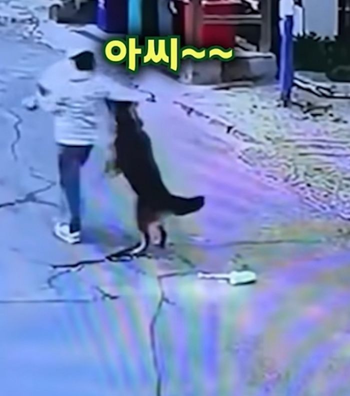 애니멀플래닛